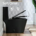 thumbnail image 3 of Casta Diva Black Toilet, Elongated One-Piece Ceramic Toilet, Dual Flush, 12'' Rough in, 3 of 11