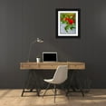 thumbnail image 3 of Grayscale 25x32 Black Ornate Wood Framed with Double Matting Museum Art Print Titled - Lantana IV, 3 of 4