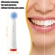 thumbnail image 4 of 16uds Eléctrico Dientes Cepillo Reemplazo Cabezales, para Oral-B, Nylon Cerdas, 4 of 7