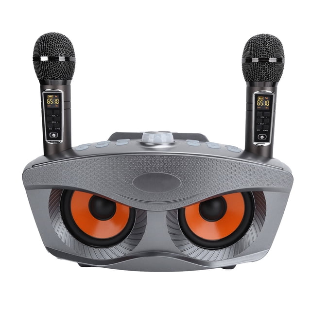 Haut-parleur, Machine de Karaoké Caisson de Basses Multifonction pour Bureau Extérieur Doré, Gris