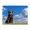 500 Pieces, variant on 500-Piece Wooden Jigsaw Puzzle for Adults & Families - Labrador Blue Sky Grass , Fun & Educational Brain-Teasing Game, Artistic Home Decor