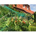thumbnail image 5 of Piezas 10m x 4m Red Anti Aves, Red de Aves, Red de Árboles Frutales, Red de Jardín Protege árboles Frutales y Verduras de Daños por Aves, Malla de 15 mm Kuyhfg Bienvenido a Kuyhfg, 5 of 5