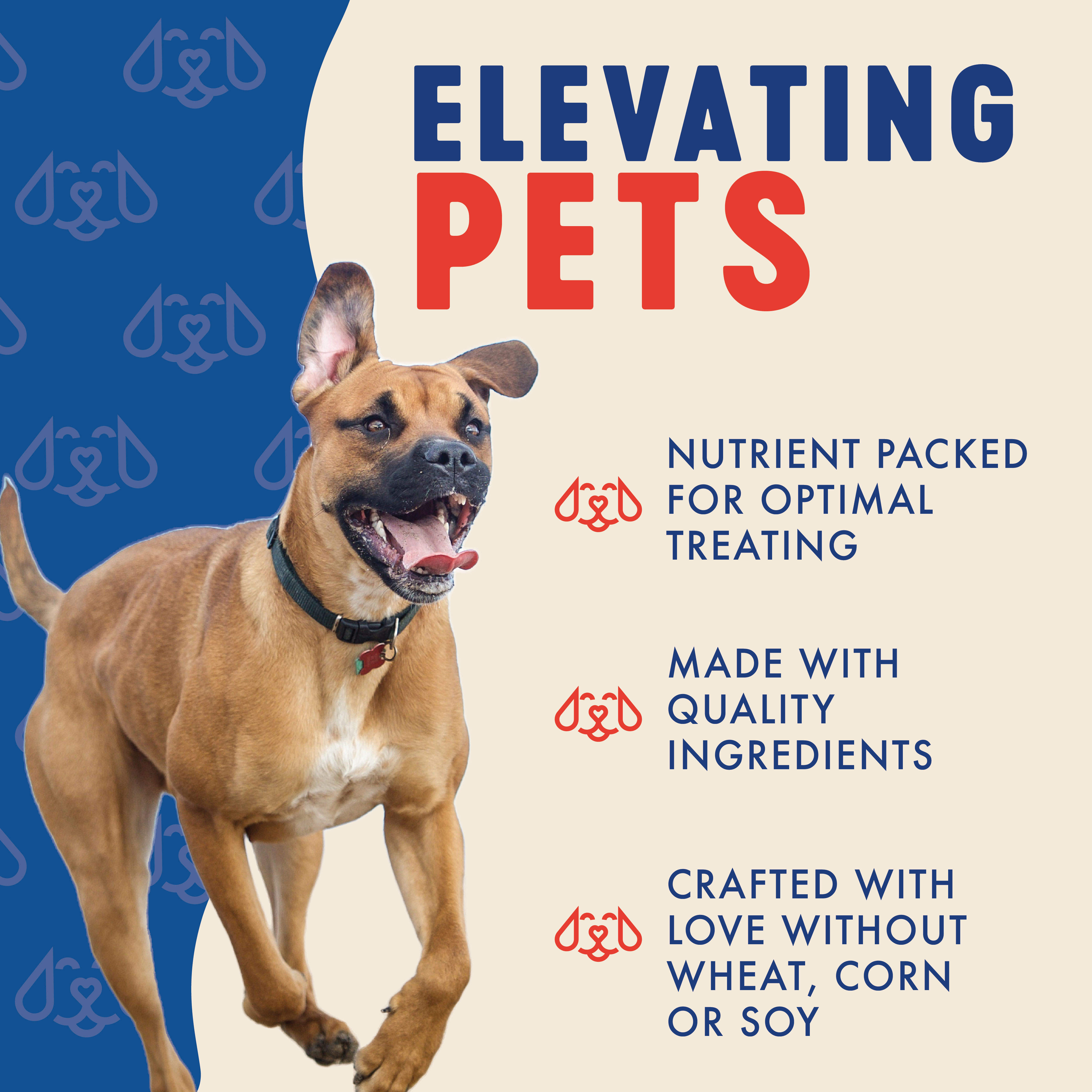 Finley's Oven Baked Dog Biscuits, Peanut Butter and Pumpkin, Crunchy, Healthy Dog Treats for All Ages and Sizes, 12oz, 3 Pack