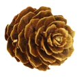 thumbnail image 1 of Decoración de adorno colgante de pistacho de con conos secos naturales Cono de pino dorado brillante Cola Decoración de cono de pino, 1 of 6