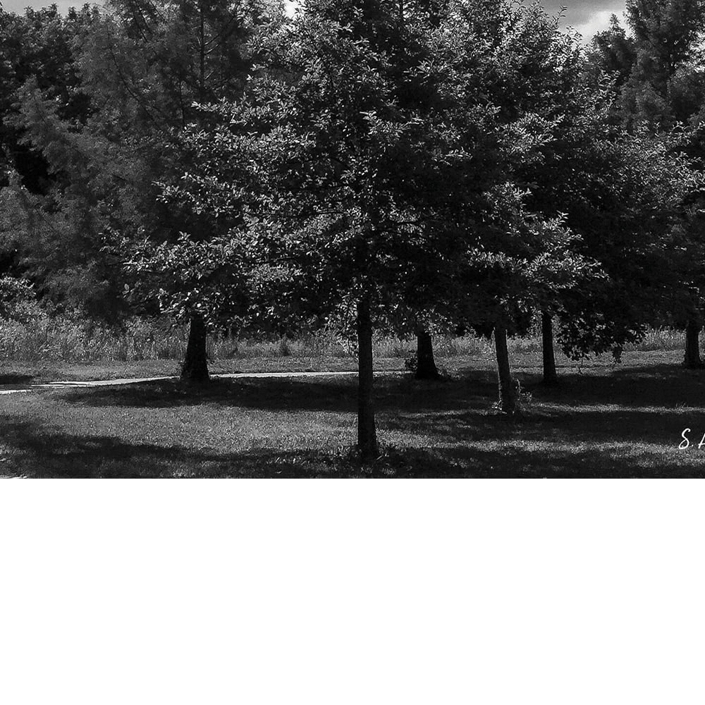 Kansas Clouds By Photographer Steven A. Heller - 16"X20" Canvas