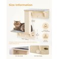 thumbnail image 3 of Estantes Dobles Pecute para Gatos con Poste para Rascar para Pared/Ventana, 3 of 9