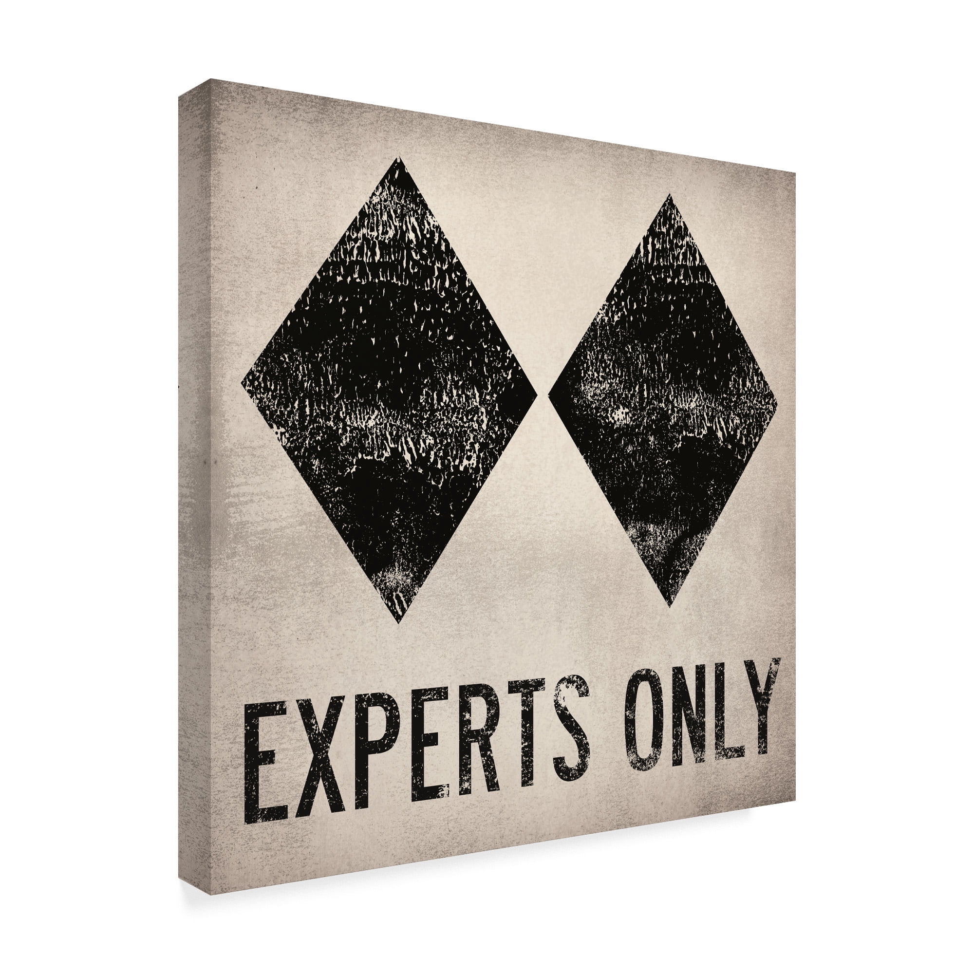 Trademark Fine Art 'Experts Only White' Canvas Art by Ryan Fowler