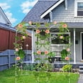 thumbnail image 7 of Amagabeli Garden Trellis for Climbing Plants Outdoor 60" x 18" Rustproof White Iron Potted Vines Vegetables Flowers Patio Metal for Ivy Roses Cucumbers Clematis Supports 2 Pack, 7 of 7