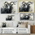 thumbnail image 4 of Designart "Supremacy Of The Black And White Ram II" Animals Goat Canvas Art Print, 4 of 7