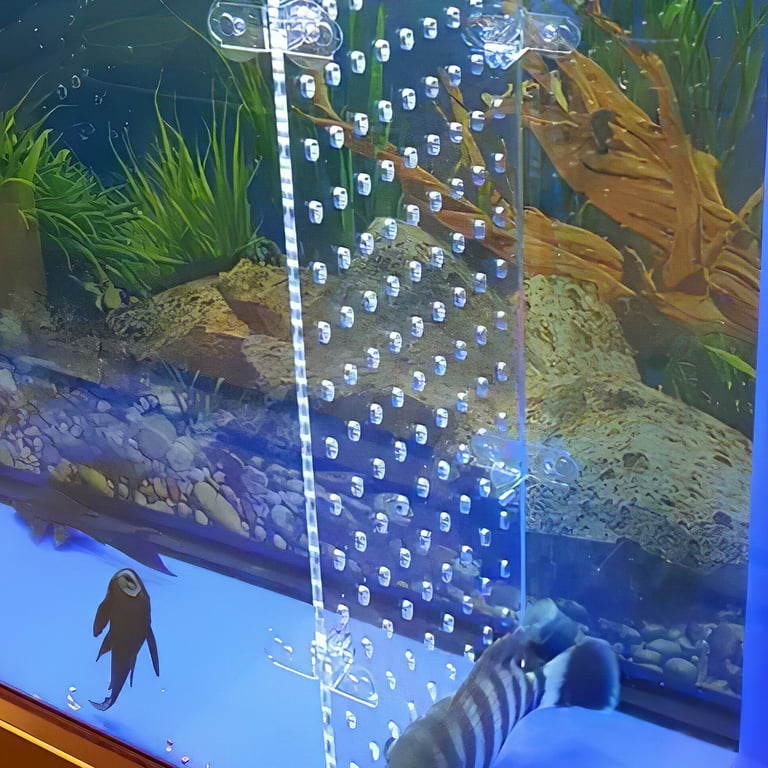 Aquarium Fish Tank Divider Acrylic Isolation Board Transparent Fish Tank Divider Aquarium Supply