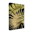 thumbnail image 2 of Trademark Fine Art 'Rustic Tropical Leaves I' Canvas Art by Ethan Harper, 2 of 4