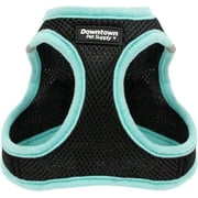Downtown Pet Supply No Pull, Step in Adjustable Dog Harness with Padded Vest, Easy to Put on Small, Medium and Large Dogs (Black with Light Blue Trim, XS)