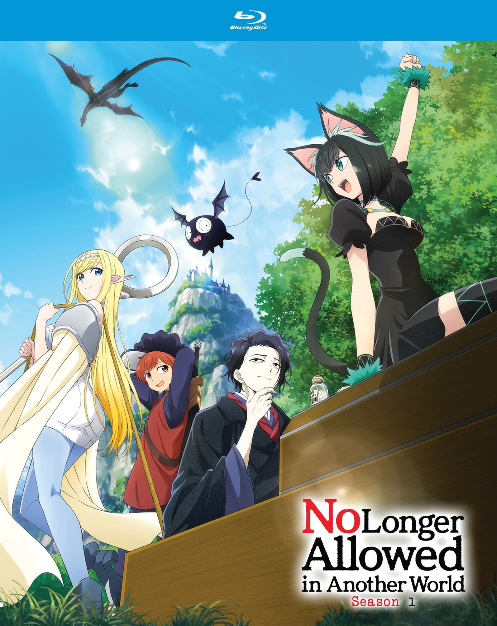 No Longer Allowed in Another World Season 1 (Blu-ray) - Walmart.com