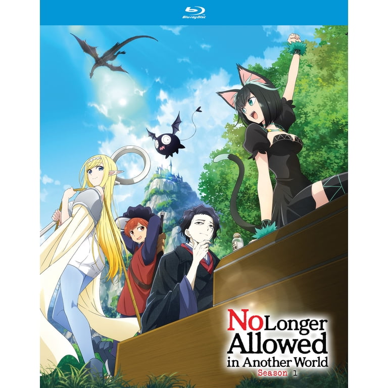 No Longer Allowed in Another World Season 1 (Blu-ray) - Walmart.com
