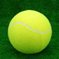 thumbnail image 3 of Tennis Balls, Training Balls For Lessons, Practice, Playing With Pets 5, 3 of 5
