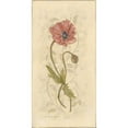 thumbnail image 3 of Marrott, Stephanie 9x14 Black Modern Framed Museum Art Print Titled - Poppy I, 3 of 5