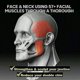 thumbnail image 4 of Entrenador de músculos faciales, pelota de fitness facial, pelota de ejercicio de mandíbula, pelota de ejercicio de papada, pelota de ejercicio de boca, 4 of 5
