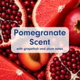 thumbnail image 3 of Softsoap Limited Edition Liquid Hand Soap, Fresh Pomegranate Scent, 7.5 fl oz, 3 of 14