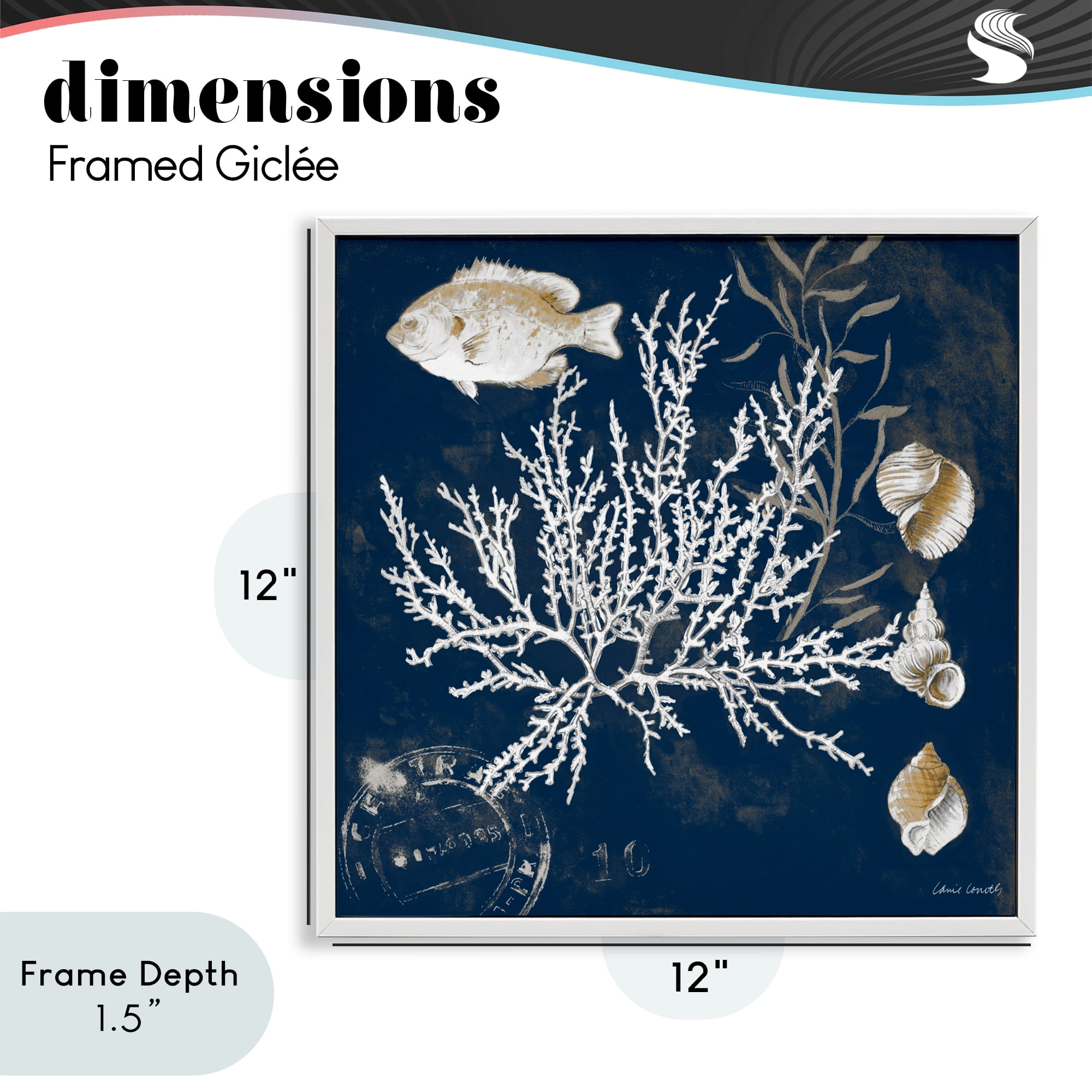 Stupell Industries Coral Medley on Blue White Framed Giclee Art, design by Lanie Loreth