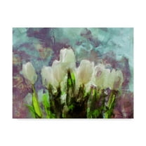 Trademark Fine Art 'Sunlit Tulips II' Canvas Art by Noah Bay