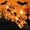 Orange, variant on 8.8IN Halloween Wide Fabric Headbands for Women, Pumpkin Ghost Bat Skull Spooky Printed Stretch Hair Bands, Cute Fall Holiday Party Cosplay Hair Accessories,Purple