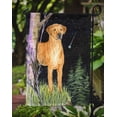 thumbnail image 3 of Carolines Treasures SS8479GF Starry Night Rhodesian Ridgeback Flag - Garden Size- 11 x 15 in., 3 of 3