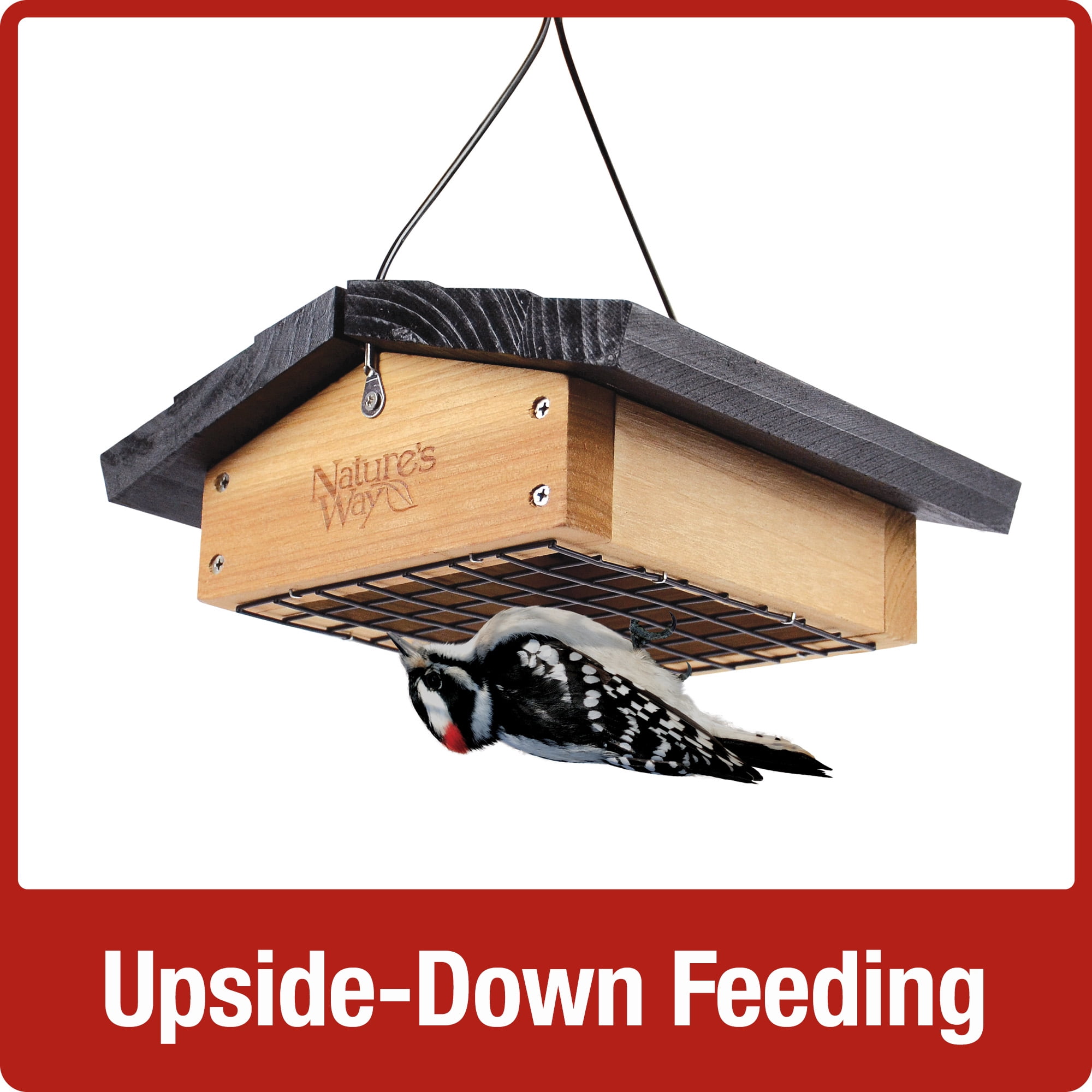 'Nature's Way Cedar Suet Upside-Down Bird Feeder 1 Cake, Brown