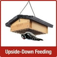 thumbnail image 5 of 'Nature's Way Cedar Suet Upside-Down Bird Feeder 1 Cake, Brown, 5 of 8