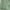 Green, variant on HAiming Women 2025 Fall Floral Dress V Neck Ruffle Long Sleeve Flowy Dresses Casual Loose Trendy Midi Dress with Belt
