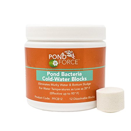 Cold Water Pond Bacteria