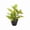 C, variant on Tuscom Artificial Potted Plant Black Pot 10 Inch Faux Greenery Fake Houseplant for Living Room Office Desk Tabletop Decor No Maintenance