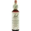 (3 Pack) Bach Flower Essences Flower Essence Honeysuckle 20 Ml