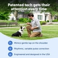 thumbnail image 4 of PetSafe Pro Dog Trainer with Remote – 1000 ft Range – Tone, Vibration and 19 Levels of Static, 4 of 9