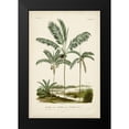 thumbnail image 2 of DOrbigny, M. Charles 13x18 Black Modern Framed Museum Art Print Titled - Antique Palm Collection VII, 2 of 5