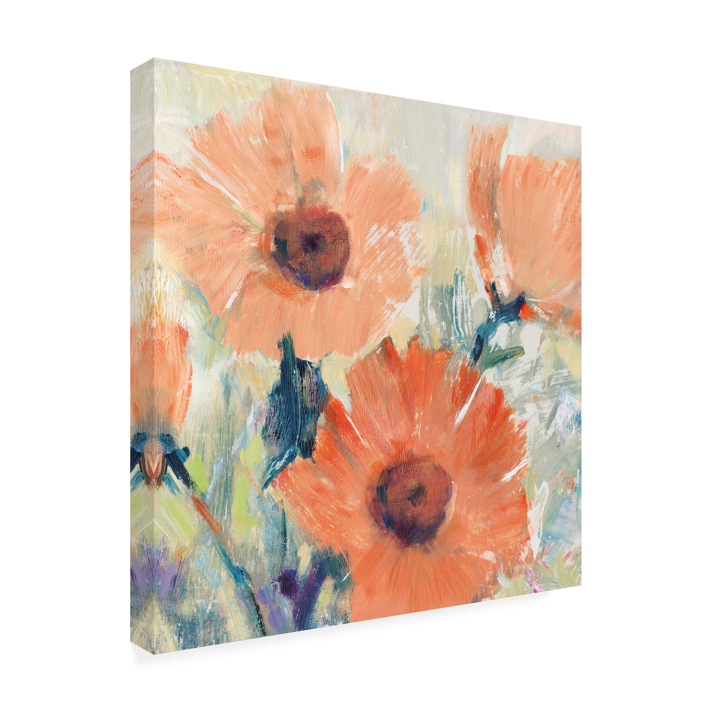 Tim O Toole 'Flowers in Bloom I' Canvas Art
