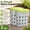 Lime, variant on In-Ground Worm Composter 8 Gallons Outdoor Compost Bin BPA-Free Composting System for Garden Beds Lime