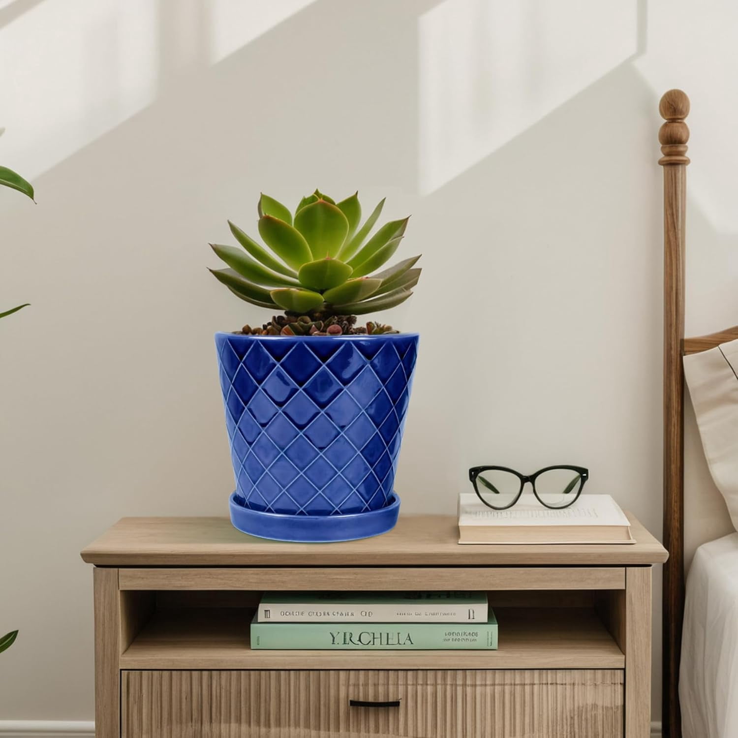 BUYMAX Plant Pots Indoor –6 inch Ceramic Flower Pot with Drainage Hole and Ceramic Tray - Gardening Home Desktop Office Windowsill Decoration, Set of 2(Blue)