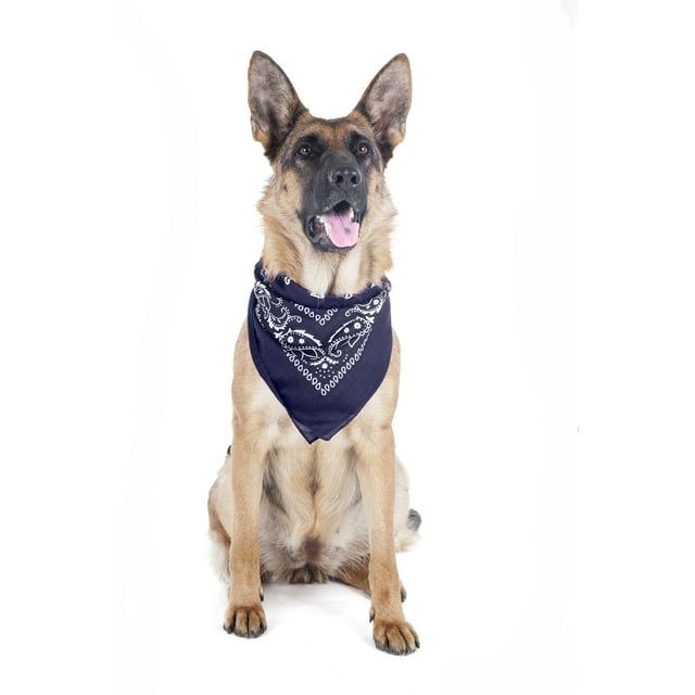 Lot de 5 Bandanas Triangulaires en Polyester à Motif Cachemire pour Animaux de Compagnie Chiens - Grand Format (Bleu)