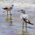 thumbnail image 2 of Heffernan, Lucia 12x12 Gold Ornate Wood Framed with Double Matting Museum Art Print Titled - Waders, 2 of 4