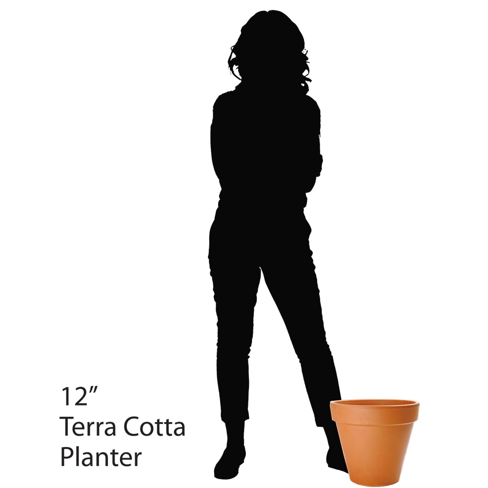 Pennington 12 inch Red Terra Cotta Clay Standard Pot or Planter with Drainage Hole
