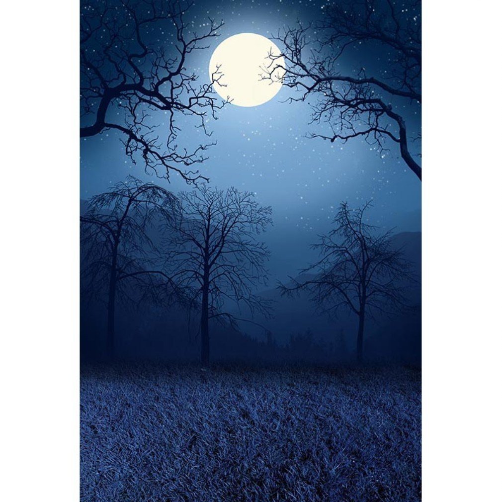 Hellodecor Polyster Outdoor Autumn Night Scenic Photography Backdrop Digital Trees Moon Grass Floor Dark Forest Background For Photo Studio 5x7ft Walmart Com Walmart Com