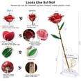 thumbnail image 4 of Sinvitron Gold Dipped Rose 24K Real Rose,Long Stem Hand Dipped in 24k Golden Rose,Unique Romantic Gifts for Women in Her Birthday, Anniversary,Valentines Day, for her (Red), 4 of 8