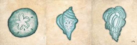 Shells II Canvas Art - Elizabeth Medley ()