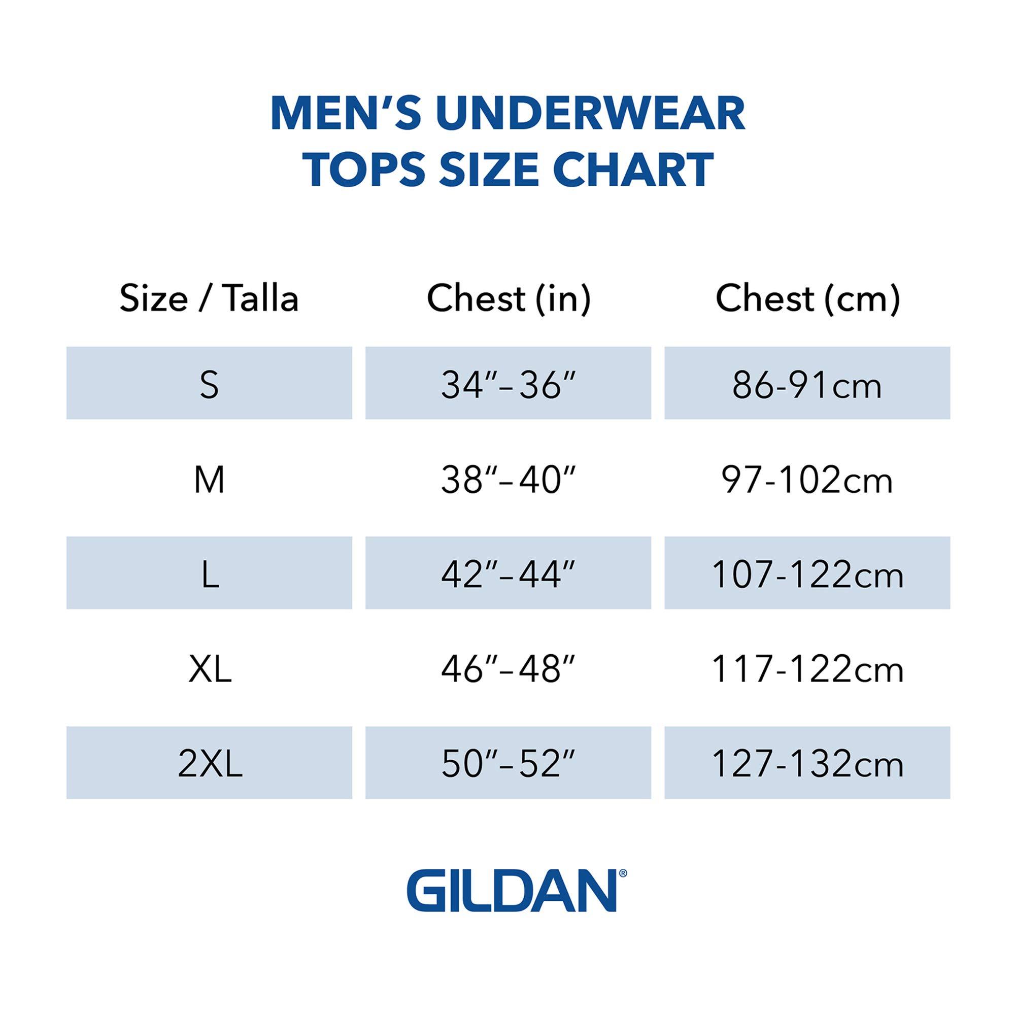 Gildan Men's V-Neck T-Shirts Multipack X-Large Navy/Charcoal/Cardinal Red (5 Pack) 5