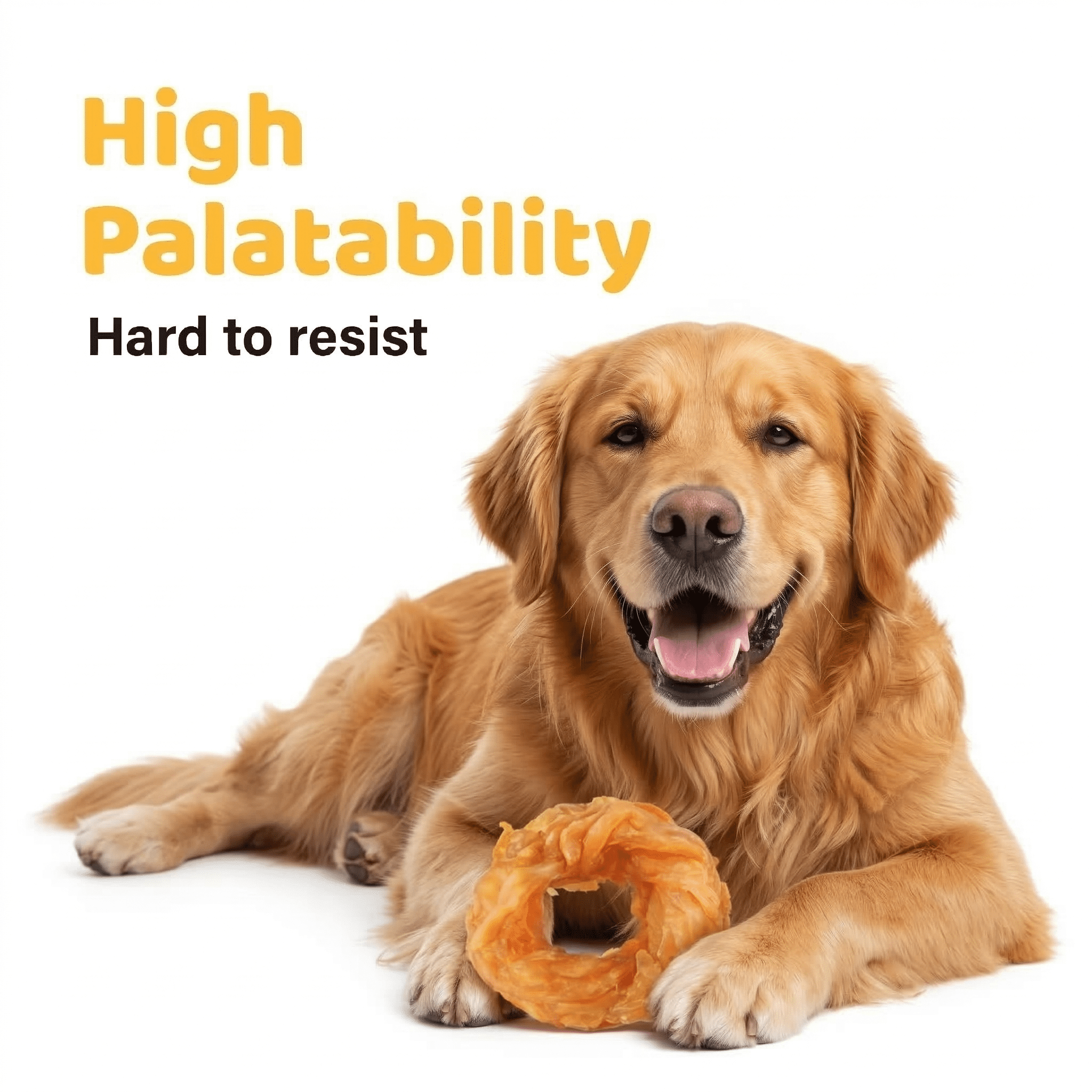 iPaw Turkey Tendon for Dogs, Hypoallergenic, All Natural Human Grade Puppy Chew, Dog Treats for Signature Series, Rawhide Alternative, 20 Units/Box Ring (Medium)