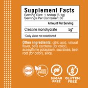 Cybergenics Creatine Monohydrate Powder, Pure Creatine, 5 grams Creatine per Serving, Supports Muscle Recovery, Improve Performance and Strength, Gluten Free, 6.45 oz, 30 Servings, Orange Flavor