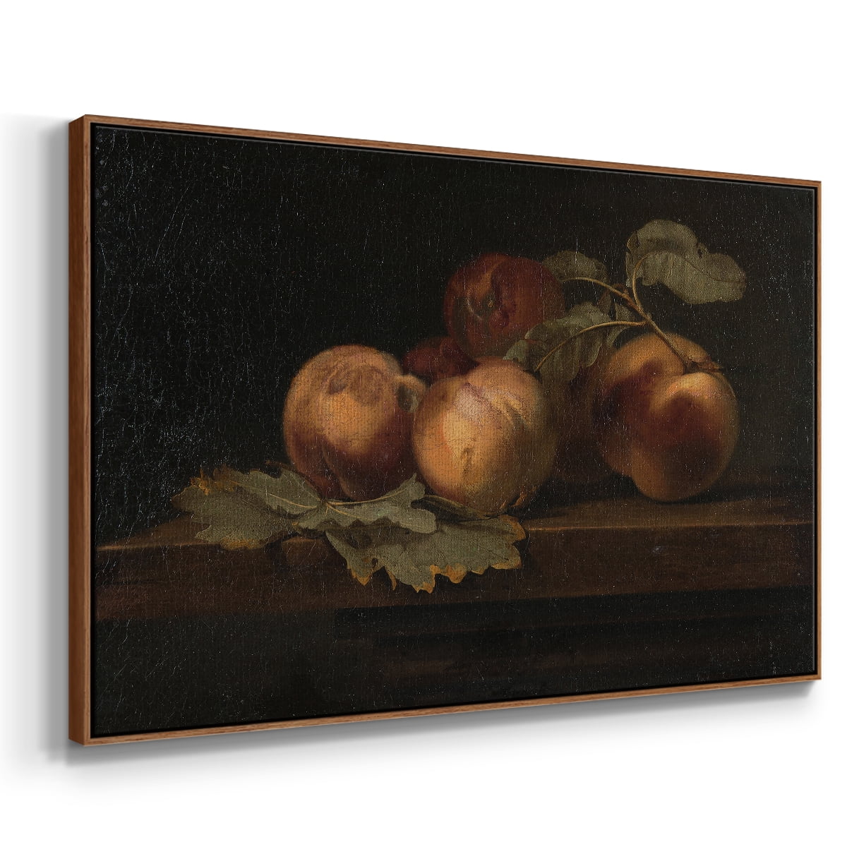 Vintage Botanical Print-LXXIX By Wexford Home Framed in Walnut Wood Gallery Wrapped Canvas 25 in. x 37 in.