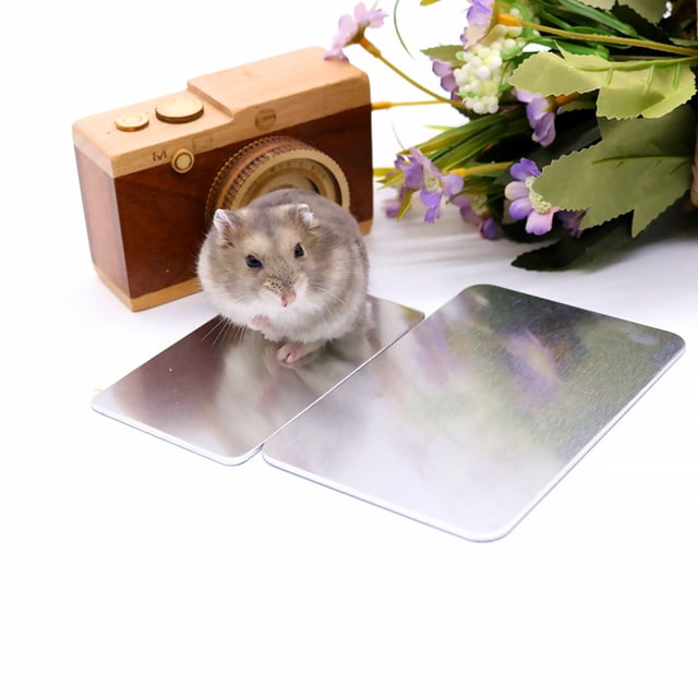 FOMIYES Tapete Refrescante Para Mascotas Con Material Resistente Ideal Para Conejos Y Hámsters