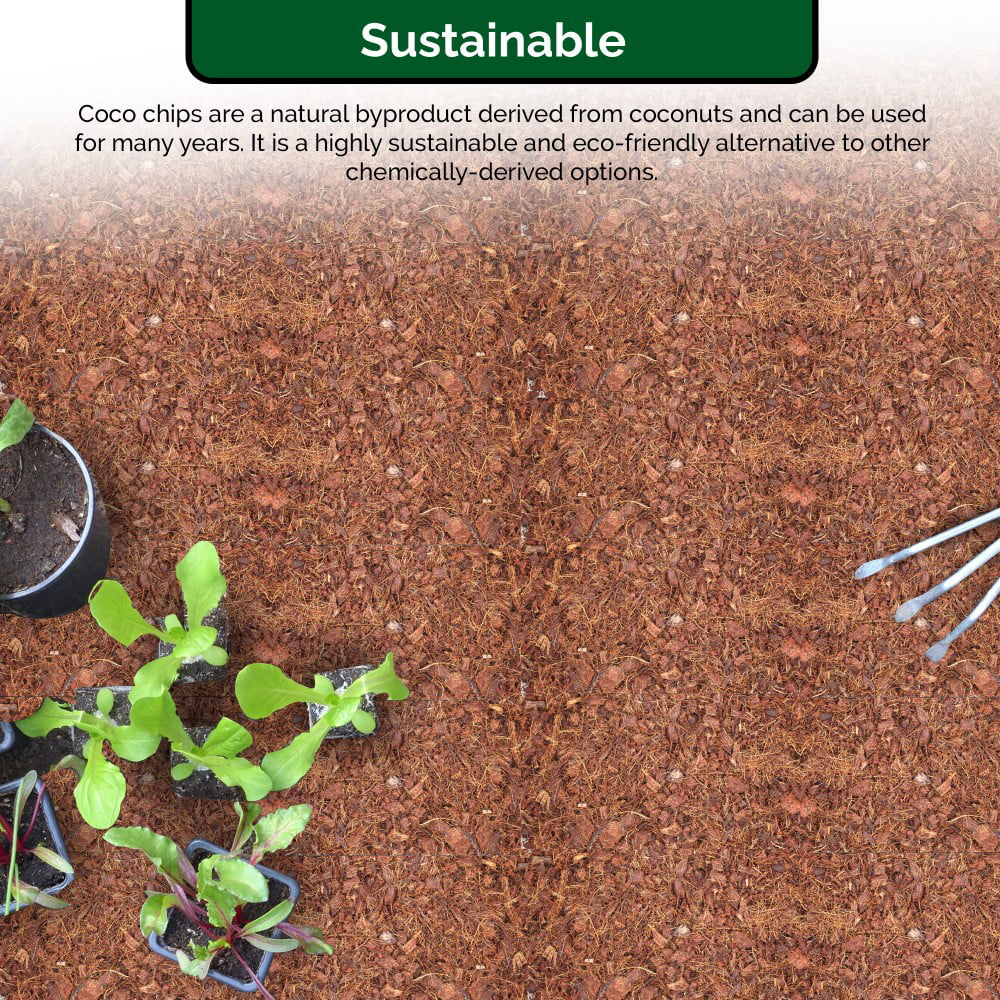 COCO COIR MINI BLOCKS Soil Enhancer Amendment Organic Mulch Peat Aerator New 