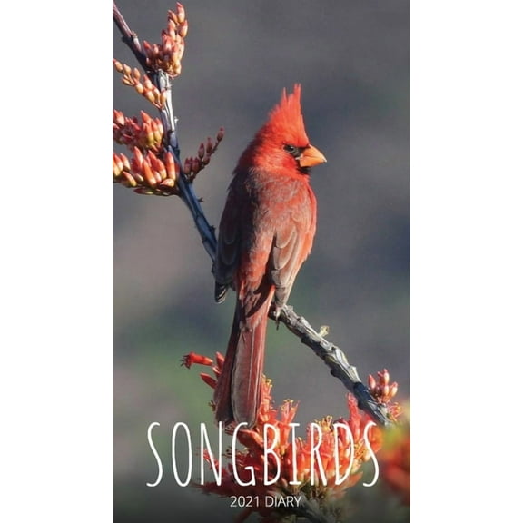 Songbirds 2021 Diary: Slim Pocket Calendar, Week to View, Monthly Planner, Date Book Notepad with Holidays Contacts Pass, (Paperback)